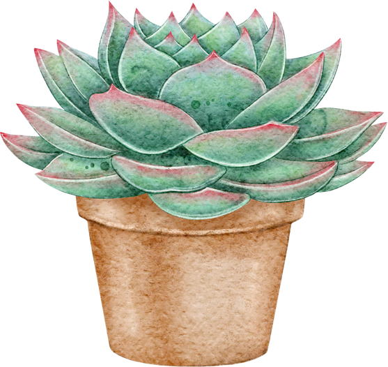 Watercolor succulent in a pot