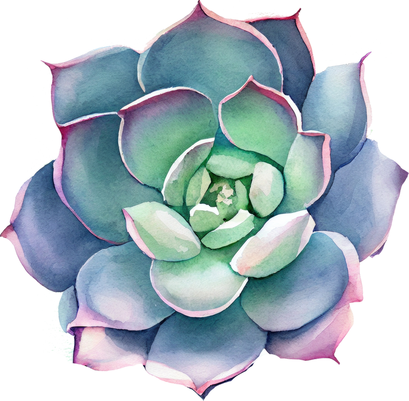 Succulent Watercolor Illustration
