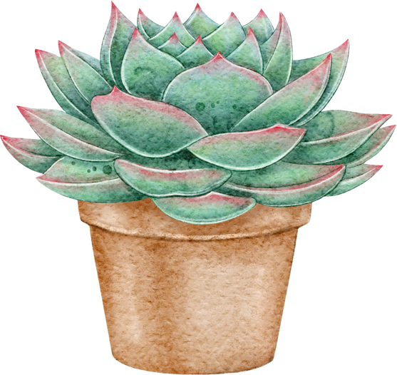 Watercolor succulent in a pot